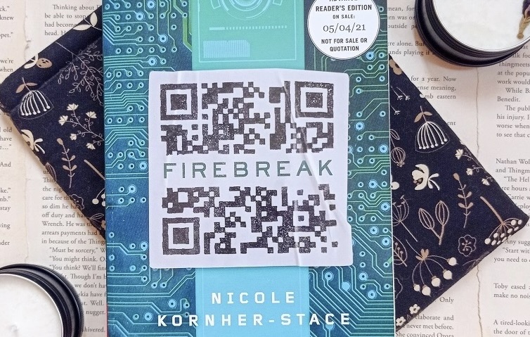 Cover of the book "Firebreak"