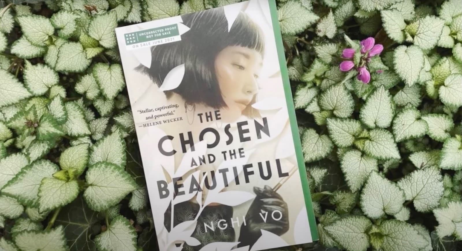 Book "Chosen and The Beautiful" on leaves